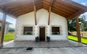 El arca de campoo